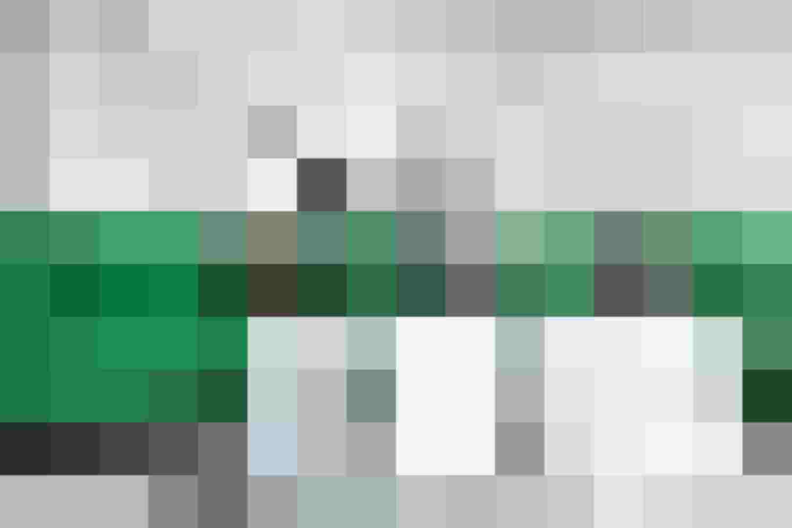 Modernes Wohnzimmer mit grüner Couch, Designheizkörper, innovativer Elektrotechnik und Kunst