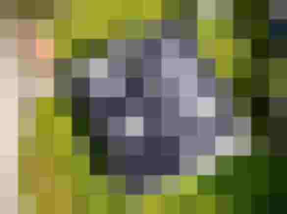 Flachdach mit Solaranlage für effiziente Energieversorgung, nachhaltige Lösungen und Smart Home